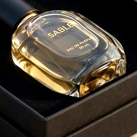 Boîte à parfum rigide noire de luxe personnalisée en deux parties avec couvercle amovible et insert ajusté pour présentation