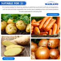 Máquina Automática para Lavar y Pelar Verduras, Patatas, Jengibre, Yuca, Mariscos, Pescado, Frutas, Limones y Zanahorias