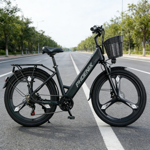 Bicicleta Eléctrica con Rueda Integrada, Motor sin Escobillas de 48V 350W, Batería de Litio, Suspensión Delantera/Trasera, Venta Directa de Fábrica - Product Image 3