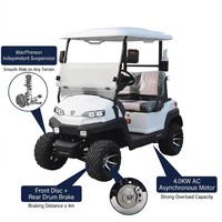 Voiturette de golf électrique 60V AC, 2 places, suspension MacPherson, frein à disque avant, autonomie 80-100 km, couleur personnalisée, fabrication OEM, 35 km/h