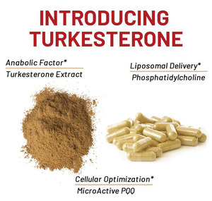 Cápsulas de Turkesterona Wins Town, Ayudan a Desarrollar Músculo, Aumentan la Energía, Suplemento de Turkesterona de 500 mg - Product Image 6