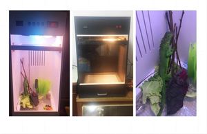 Màu đen Dog lồng ấp/lồng ấp cho Puppy sử dụng - Product Image 6