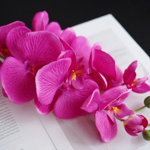 Orchidée Phalaenopsis Artificielle à Tige Unique, 9 Têtes, Effet Naturel, Décoration pour Salon et Arrangements de Mariage - Product Image 4