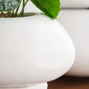 Low MOQ Modern Design Hotel Decor Pot / Wedding Decoration Indoor Ceramic Plant Pots