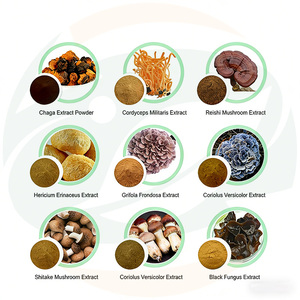 China-Herb Supply - Mezcla de Extracto de Hongos Potente 9 en 1: Melena de León, Cordyceps, Reishi, Chaga, Cola de Pavo y Maitake en Polvo - Product Image 4