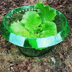 Collier de protection d'escargot pour vos plantes à salade et répulsif d'<span class=keywords><strong>escargots</strong></span> de chou sans produits chimiques Collier d'escargot en plastique - Product Image 4