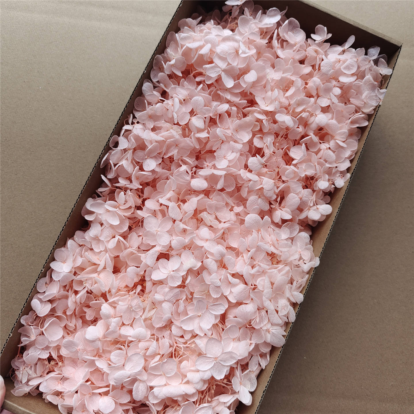 Peach pink wood hydrangea-90-100g per box