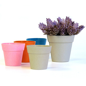 Biodegradable bamboo fiber Nursery pot seeds small plant resin succulents flower pot