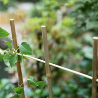 Soporte de Bambú Natural Hecho a Mano Estilo Chino para Plantas Trepadoras y Valla Decorativa para Jardín/Patio
