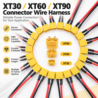 Ensemble de câbles connecteurs personnalisés XT30 XT60 XT90 pour batterie LiPo et carte PCB de drone FPV RC