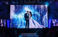 MYWAY Écran LED Holographique 6.25mm 250x1000mm, Verre Adhésif pour Fenêtre, Façade, Colonne, Comptoir, Étagère, Kiosque, Cinéma