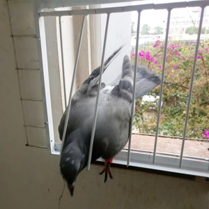 Jaula para <span class=keywords><strong>palomas</strong></span> con barras en T de cinta, suministros para captura de <span class=keywords><strong>palomas</strong></span>, trampa de entrada unidireccional para <span class=keywords><strong>palomas</strong></span> - Product Image 5
