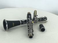 Factory Supply Custom logo Woodwind Musical Instrument China Boult Brand High Quality Black ABS Resin 17 Keys Bb Tone Clarinet