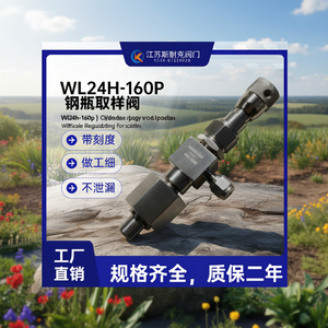 Vanne d'échantillonnage cylindrique Wl24h-160p avec régulation de précision graduée pour bouteille de gaz - Product Image 2