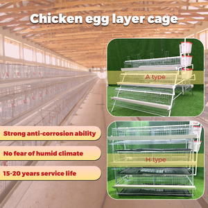 Cage à poules pondeuses de <span class=keywords><strong>type</strong></span> A, galvanisée à chaud, 3/4 niveaux, pour poules pondeuses, équipement d'élevage avicole - Product Image 4