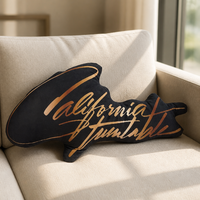 Coussin en peluche personnalisé avec photo de chat, oreiller portrait d'animal de compagnie DIY, coussin décoratif doux rembourré en coton PP, décoration personnalisée pour la maison