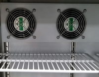 Mini-réfrigérateur de comptoir OEM, refroidisseur de boissons avec 2 portes vitrées en acier inoxydable pour bar arrière/pub