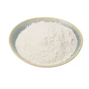 High quality spot calcium carbonate CAS No. 471-34-1 Carbonates for food