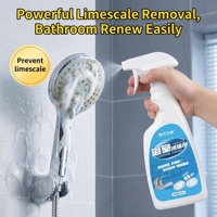 Agent Nettoyant Céramique OEM pour Salle de Bain, Élimination Rapide des Taches de Saleté sur les Sols de Toilettes et des Graisses de Cuisine, Spray de Décontamination et Polissage
