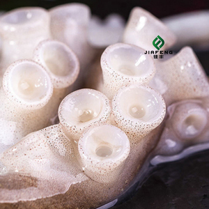 <span class=keywords><strong>Pulpo</strong></span> Congelado <span class=keywords><strong>Fresco</strong></span> de Alta Calidad - Product Image 5