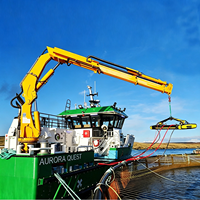 Grue marine à flèche articulée offshore, grue hydraulique haute flexibilité pour les opérations d'entretien des cargaisons des navires