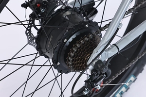Bicicleta Eléctrica de Neumáticos Anchos de Alta Calidad de Fábrica en Oferta, Batería de Litio de 350 W, Discover Fatbike Discover - Product Image 6