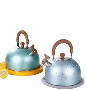 Sifflement rétro en acier inoxydable épaissi avec doublure intérieure antiadhésive Bouilloire à fond plat multi-spécifications - Product Image 1