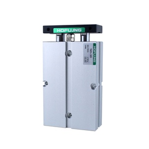 TN/TDA Series <b>Small</b> Pneumatic Dual Shaft Double Rod Piston Air Cylinder with Anti-Crash <b>Cushion</b>-Hofujng - Product Image 3