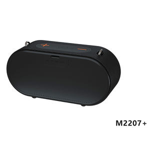 M2207 + ポータブルワイヤレスマイクパーティーDJ屋外ラウドスピーカーFMラジオ/TF/USB BTスピーカーDaul Micアクティブスーパーベースステレオスピーカー - Product Image 5