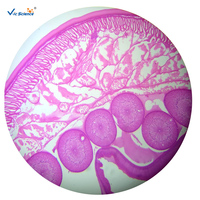 Prepared Slides Mixing Set Biology Slides 50 Kinds of Biological Section Set of Plant and Animal Quality Microscope Slides