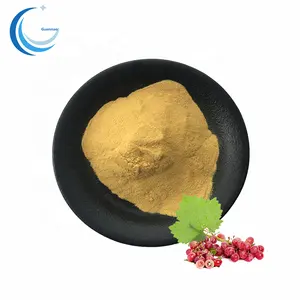 High Quality Grape Leaf Extract 10:1 20:1 Red Grape Leaf Extract Powder