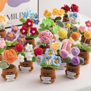 Venta al por mayor de regalos creativos: Mini tarjeta de felicitación, maceta, plantas de peluche, muñeca de punto, girasol de dibujos animados, flor de ganchillo hecha a mano - Product Image 1