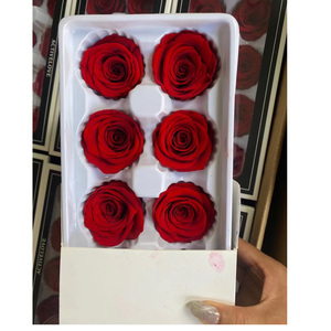 Roses immortelles, 8/lot, fleur <span class=keywords><strong>immortel</strong></span>, plantes conservées, pour la tête - Product Image 4