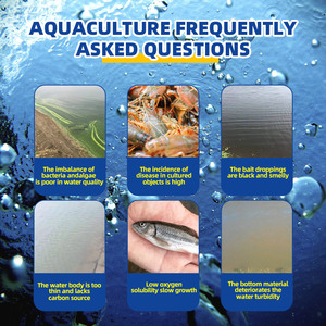 Régulateur de qualité de l'eau AquaTox Clear : Transparence de l'eau & Prévention des cyanobactéries & Détoxification - Product Image 5