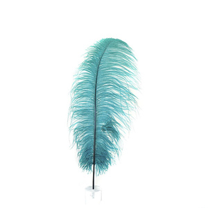 45-50cm <strong>Teal</strong> Ostrich Feathers Drabs <strong>Decoration</strong> for Carnival Costumes Table <strong>Decoration</strong> Dyed Colour Ostrich Feathers for <strong>Wedding</strong> - Product Image 2