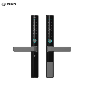 Serrures de porte en aluminium étanches IP65 S601, serrure intelligente Tuya, serrure à empreintes digitales <span class=keywords><strong>double</strong></span> face, serrure à carte TTlock, serrure de porte coulissante - Product Image 1