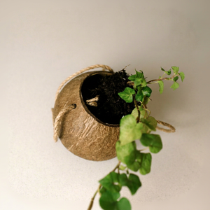 High Quality Eco-Friendly Durable Coconut Shell Plant <b>Pot</b> <b>Square</b> Design with Hanging Rope & Engraved Logo for Garden Home Use - Product Image 1