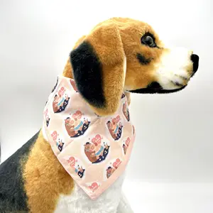 Персонализированный подарок на день рождения собаки щенка аксессуары для вечеринки бандана для собаки и кошки с сублимационным логотипом