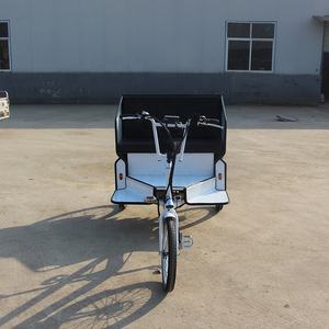 Tricycle <span class=keywords><strong>électrique</strong></span> de kg utilisé OEM, bicab, rockfishing, passager, pédale d'assistance, en vente - Product Image 6