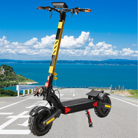 Scooter de neige électrique tout-terrain de la ville 200w Scooters électriques d'importation de moteur de la Chine 10 pouces roues E Scooter