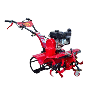 Mini Motozappe Disponibili in Magazzino e Pronte per la Spedizione Immediata Acquista Subito e Beneficia Prima - Product Image 4