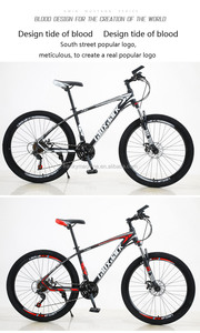 Directo de fábrica de alta calidad de mtb de 29 pulgadas <span class=keywords><strong>dahon</strong></span> rockrider tubo interior 26 - Product Image 5