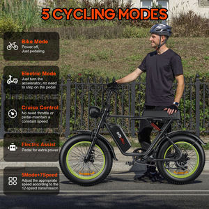 Vélo de <span class=keywords><strong>montagne</strong></span> électrique JLM C91 personnalisé 48V 1000W haute puissance avec double suspension, pneus larges de 20 pouces, vélo électrique pour adultes imperméable - Product Image 5