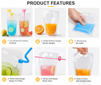 Sachets Doypack en plastique avec fermeture éclair 250ml 500ml, pochettes à boisson avec pailles, sachets à jus pour fêtes, adultes et adolescents