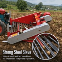 Cosechadora de Patatas de Alta Productividad con Estructura de Acero y Cadena de Arrastre, Accionada por Tractor Manual, para Cultivos Subterráneos de Batata
