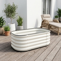 Jardinière ovale galvanisée pour intérieur, résistante à la décomposition, en métal, pour légumes et fleurs, jardinière surélevée