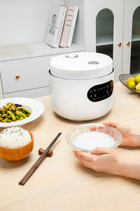 Olla Arrocera Inteligente Mini Portátil Multifuncional de Plástico Cuadrado de 3L con Control Digital, Electrodoméstico de Cocina Pequeño para el Hogar, OEM de Fábrica - Product Image 3