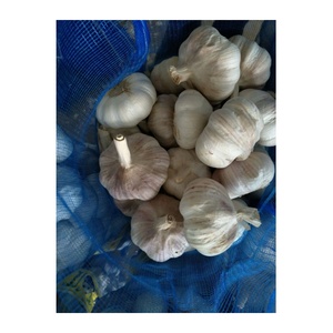 Trung Quốc Xuất Khẩu Cung Cấp Chất Lượng Cao Tươi Tỏi Đen Số Lượng Lớn Tỏi Tươi Nhà Sản Xuất 4.5Cm Màu Trắng Tinh Khiết Số Lượng Lớn Tỏi Để Bán - Product Image 4