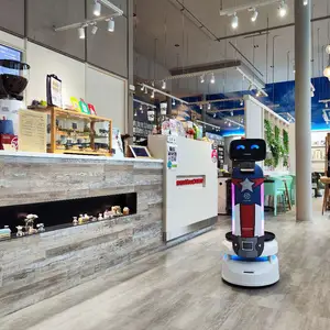 De Op Maat Gemaakte Robot Voor Het Weergeven Van Schermen Die Wordt Gebruikt In Coffeeshops In De Servicerobot Van De Verenigde Staten