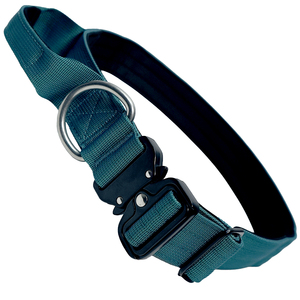 Collier de luxe personnalisé pour animaux de compagnie, robuste, en acier inoxydable, avec boucle en D, pour chiens de taille moyenne et grande, avec rembourrage doux - Product Image 1